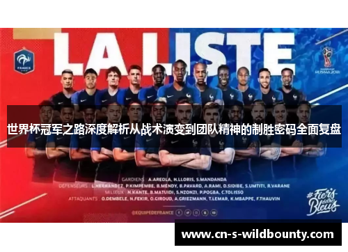 世界杯冠军之路深度解析从战术演变到团队精神的制胜密码全面复盘